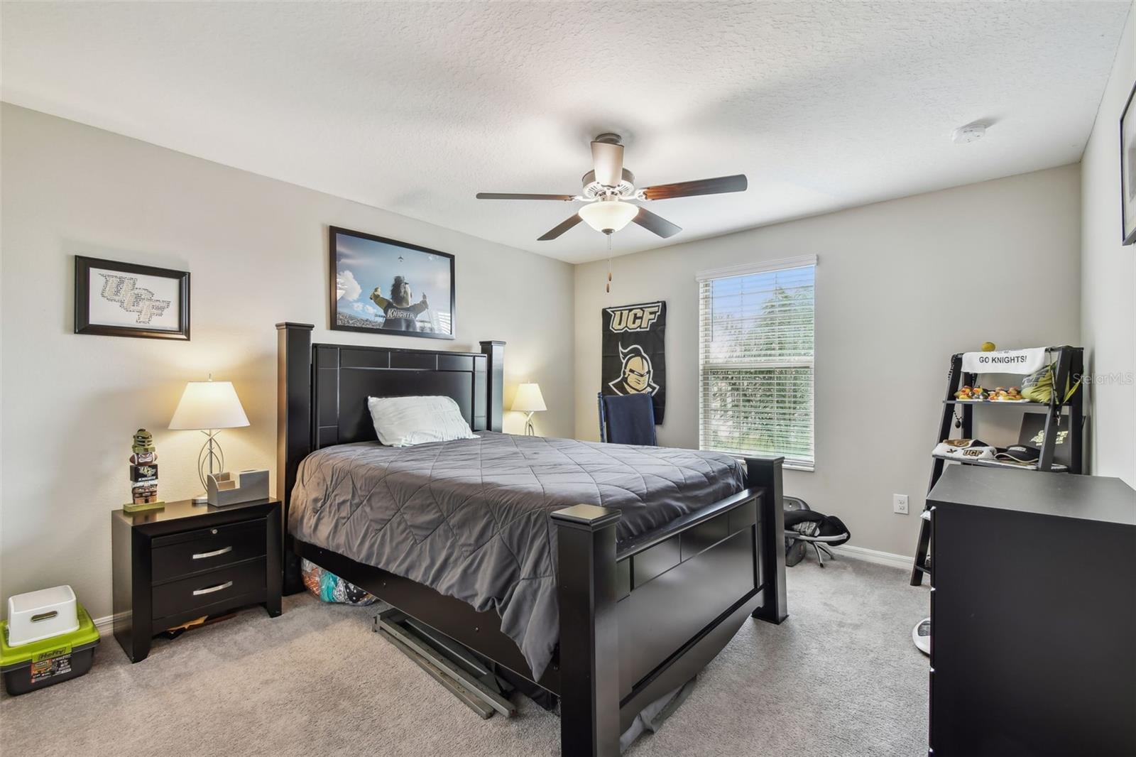 13529 WILD GINGER ST