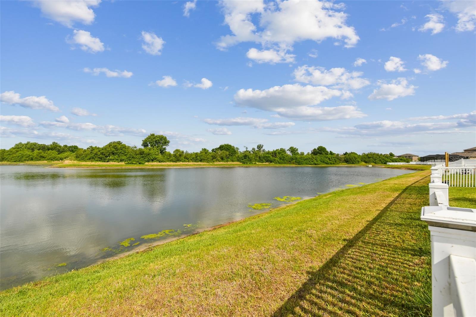 13529 WILD GINGER ST