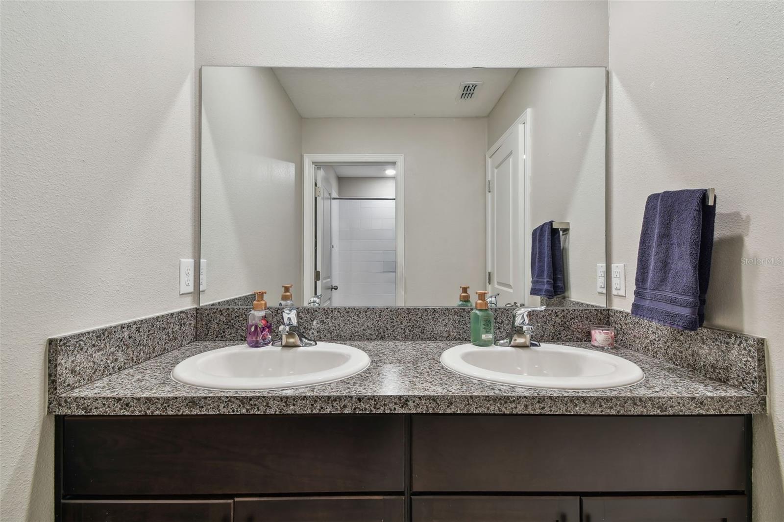 13529 WILD GINGER ST