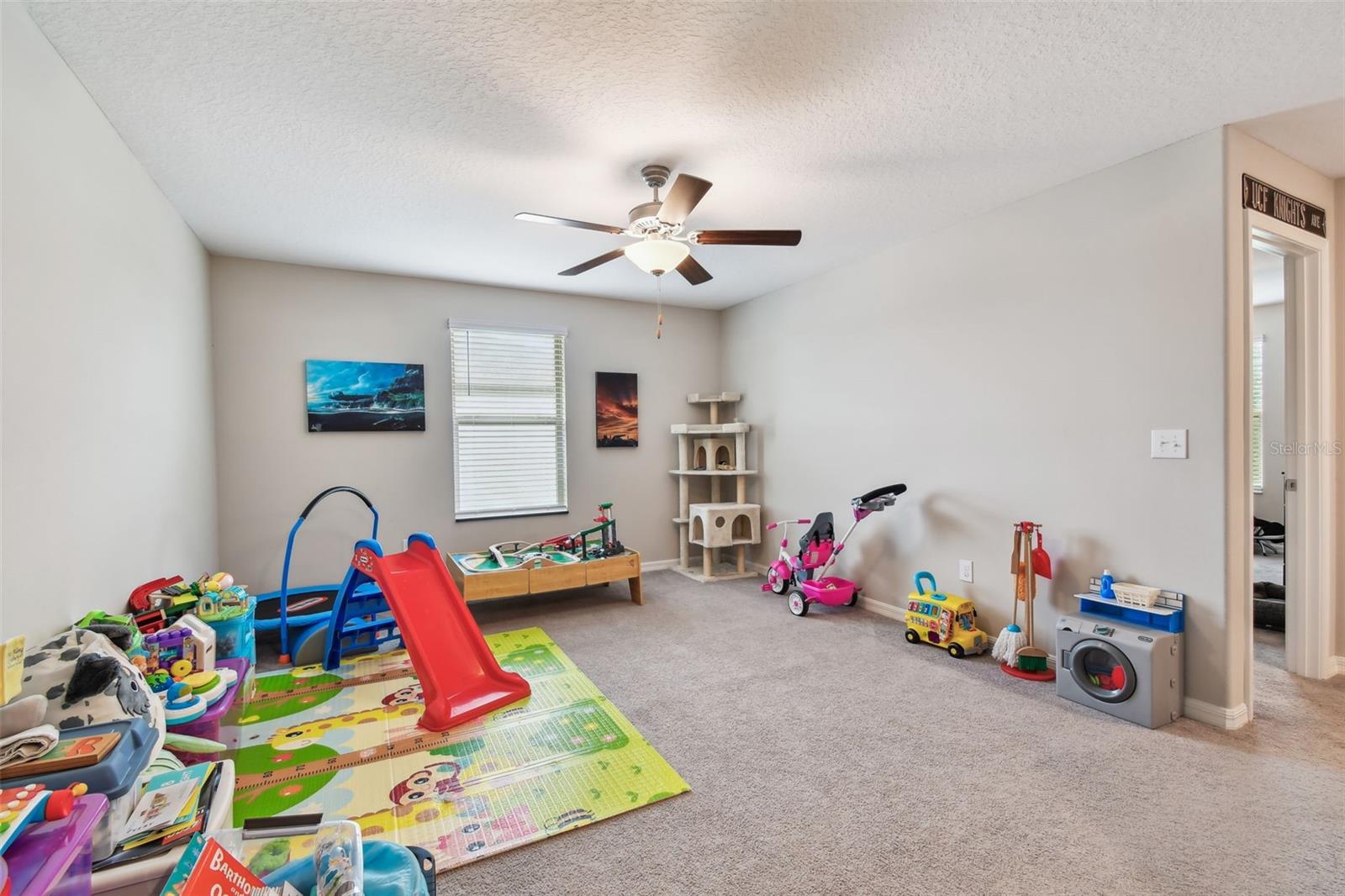 13529 WILD GINGER ST