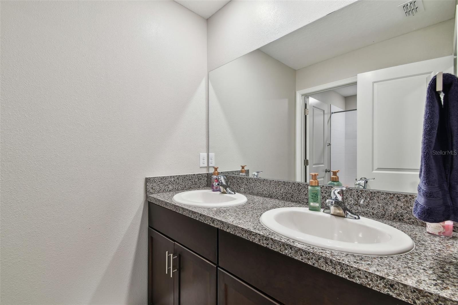 13529 WILD GINGER ST