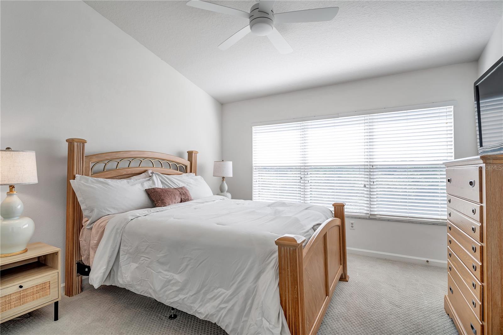 10169 BESSEMER POND CT