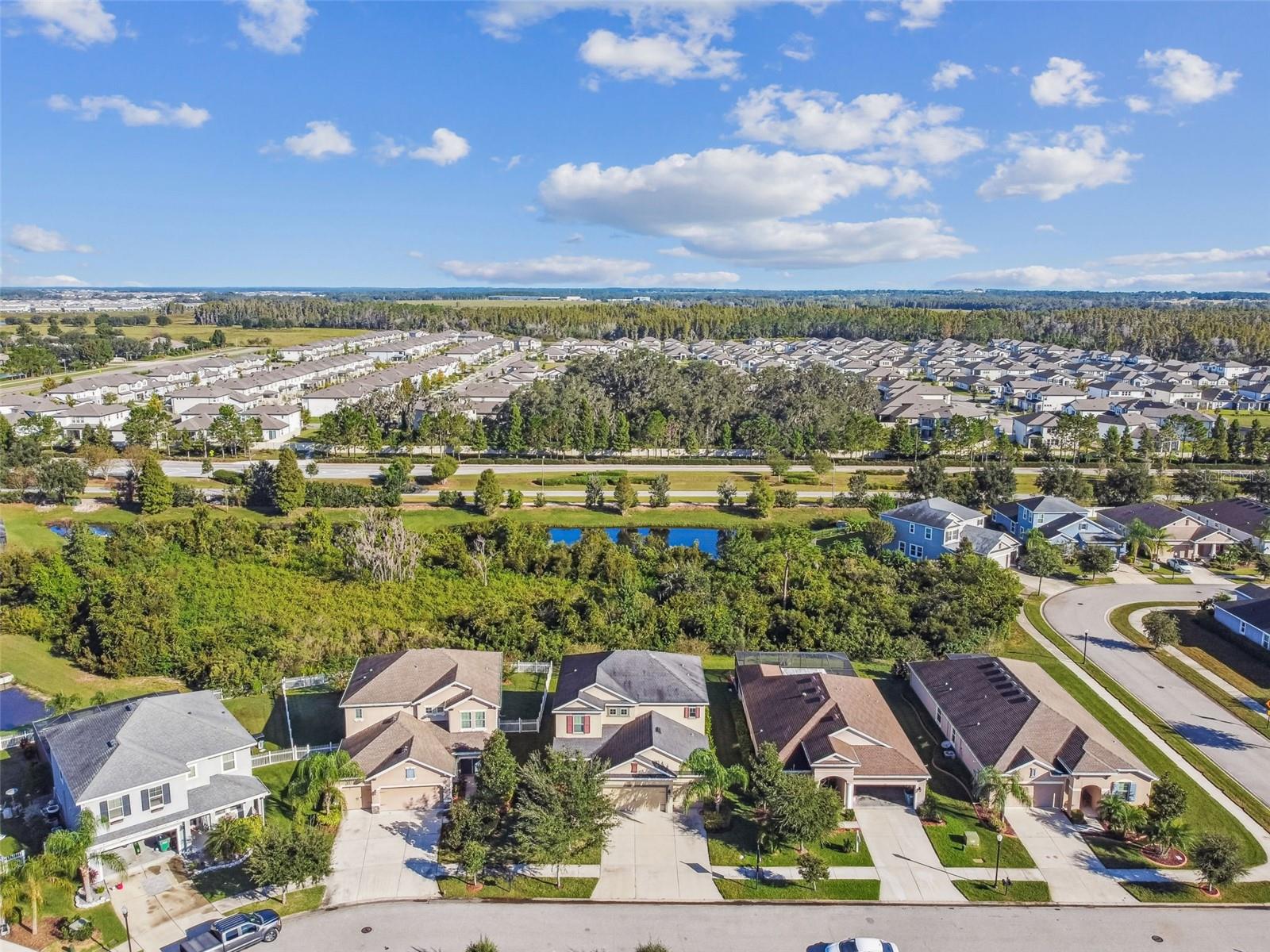 33181 SHADOW BRANCH LANE