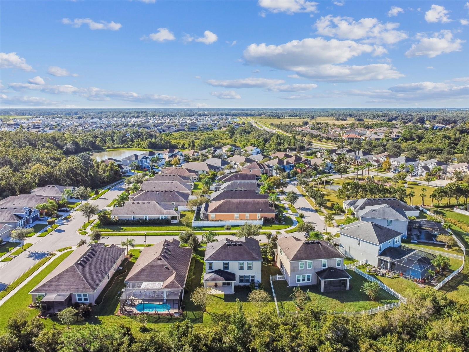 33181 SHADOW BRANCH LANE