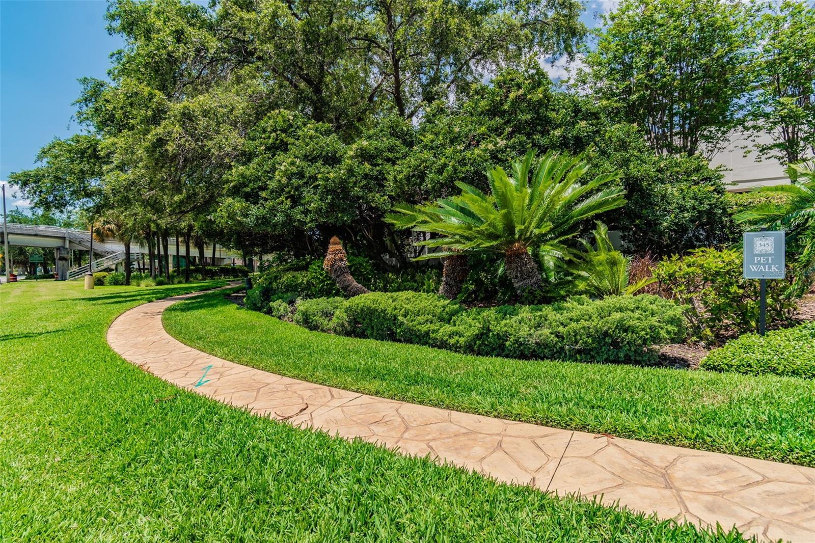 345 BAYSHORE BLVD #906