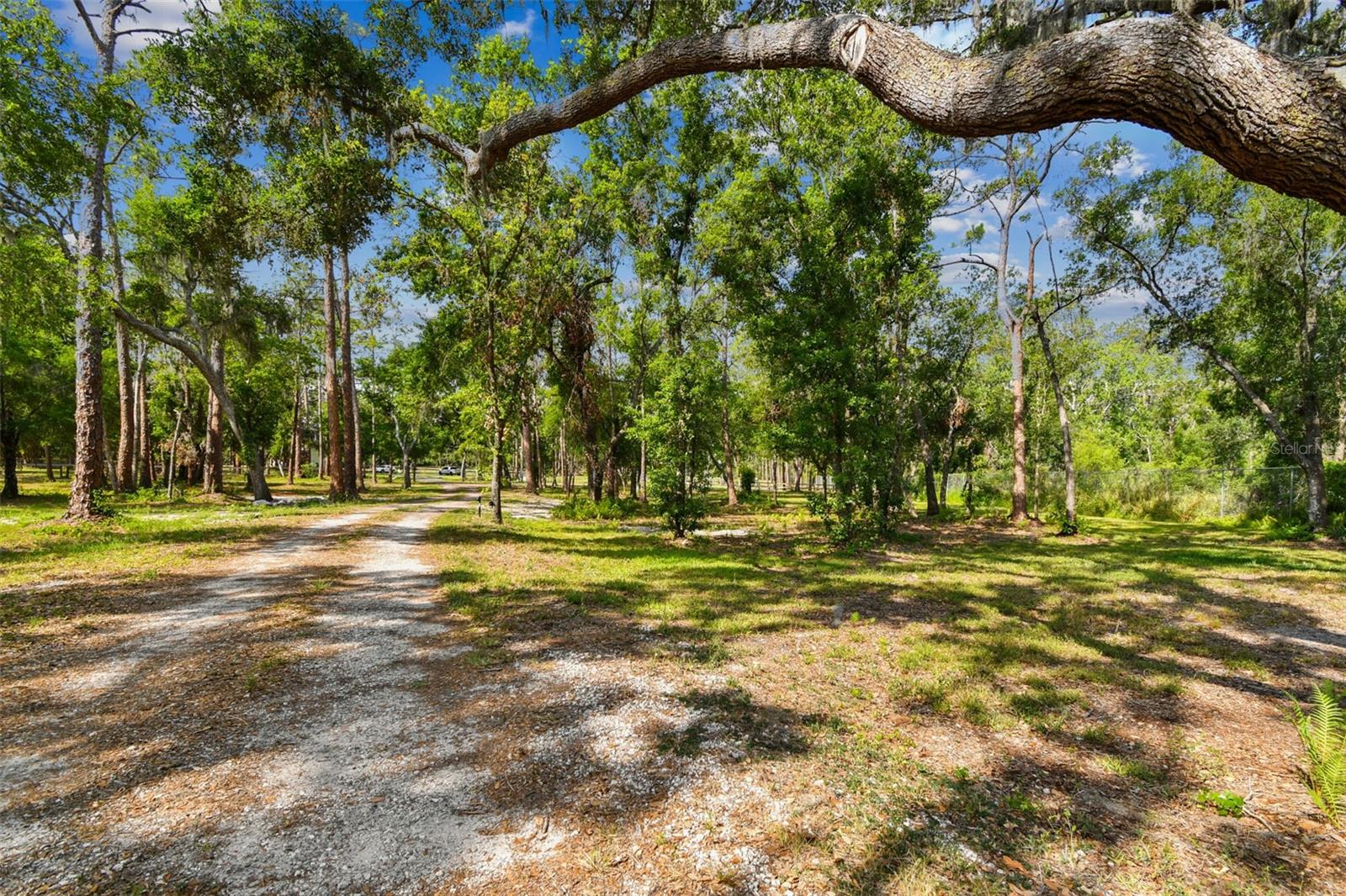 WIMAUMA