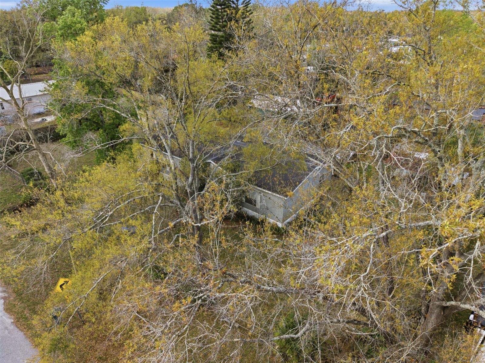 12302 PITTSFIELD AVE