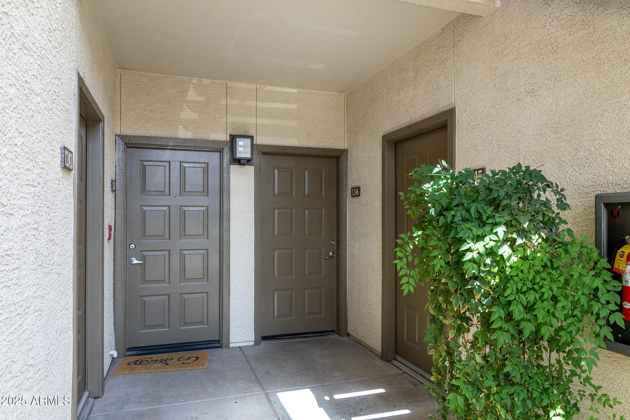 6900 E PRINCESS Drive, 1246