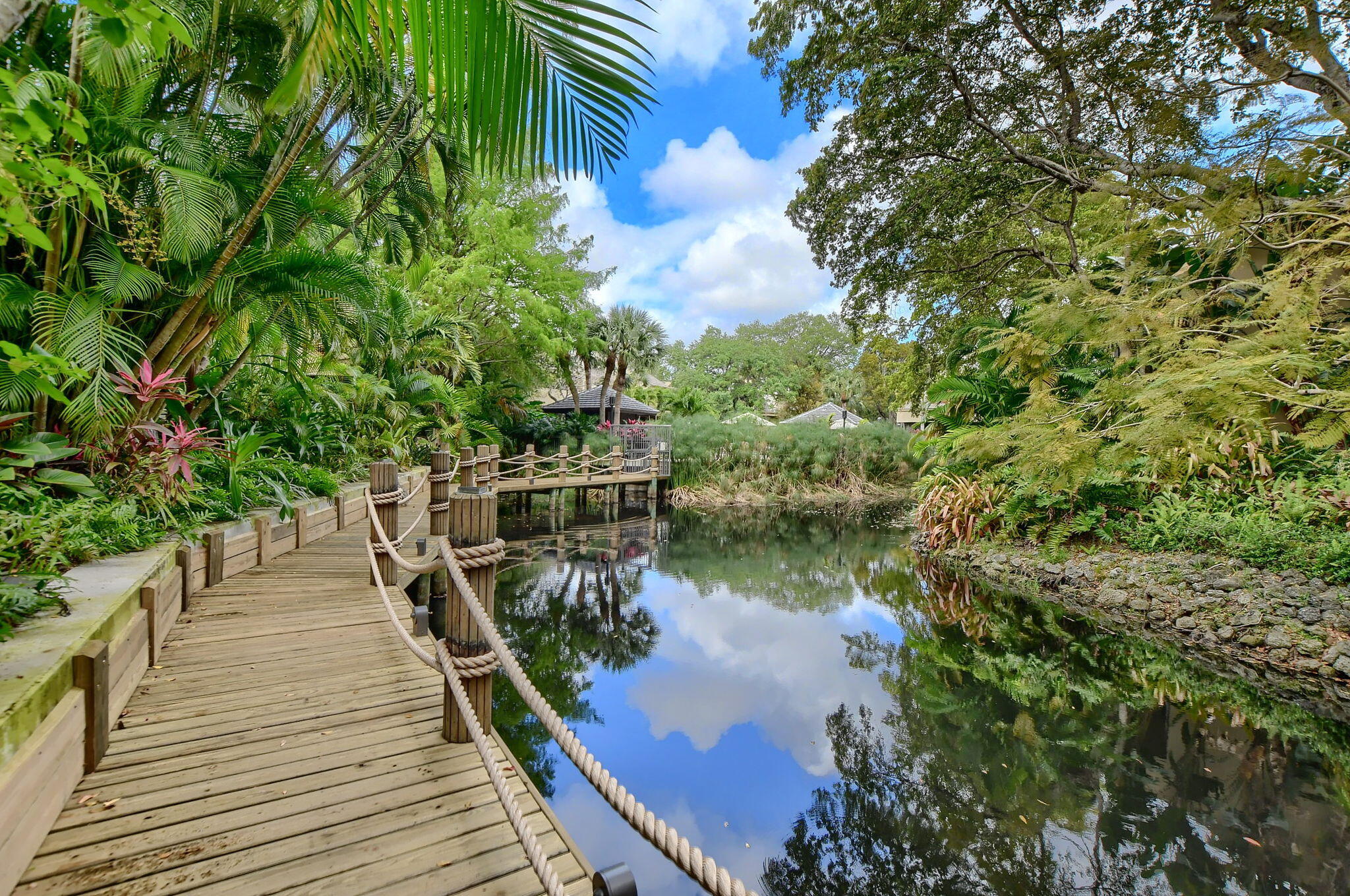 715 Saint Albans Drive