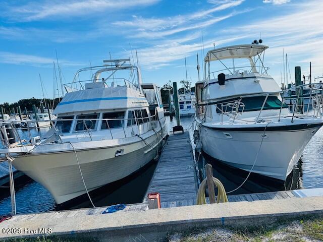 752 Indigo Village Court, Southport