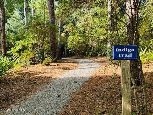 752 Indigo Village Court, Southport