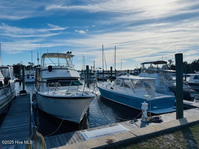 752 Indigo Village Court, Southport