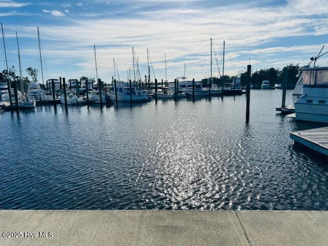 752 Indigo Village Court, Southport