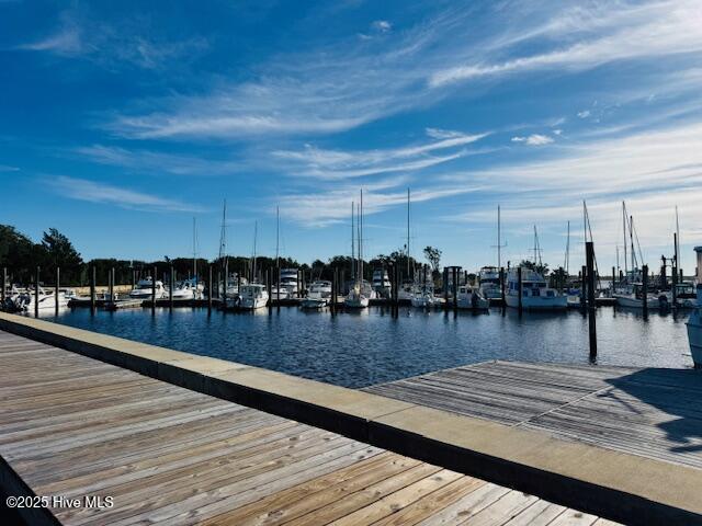 752 Indigo Village Court, Southport