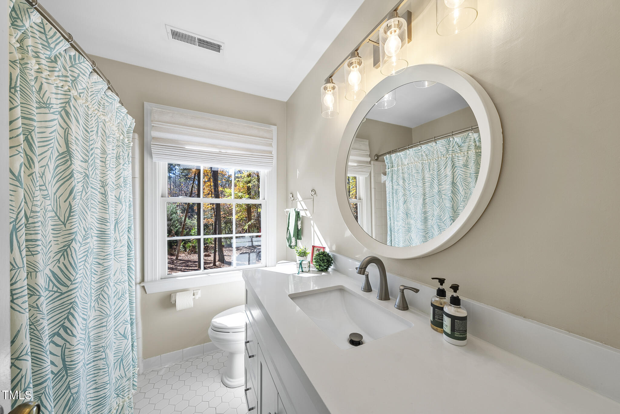 8009 Hollander Place