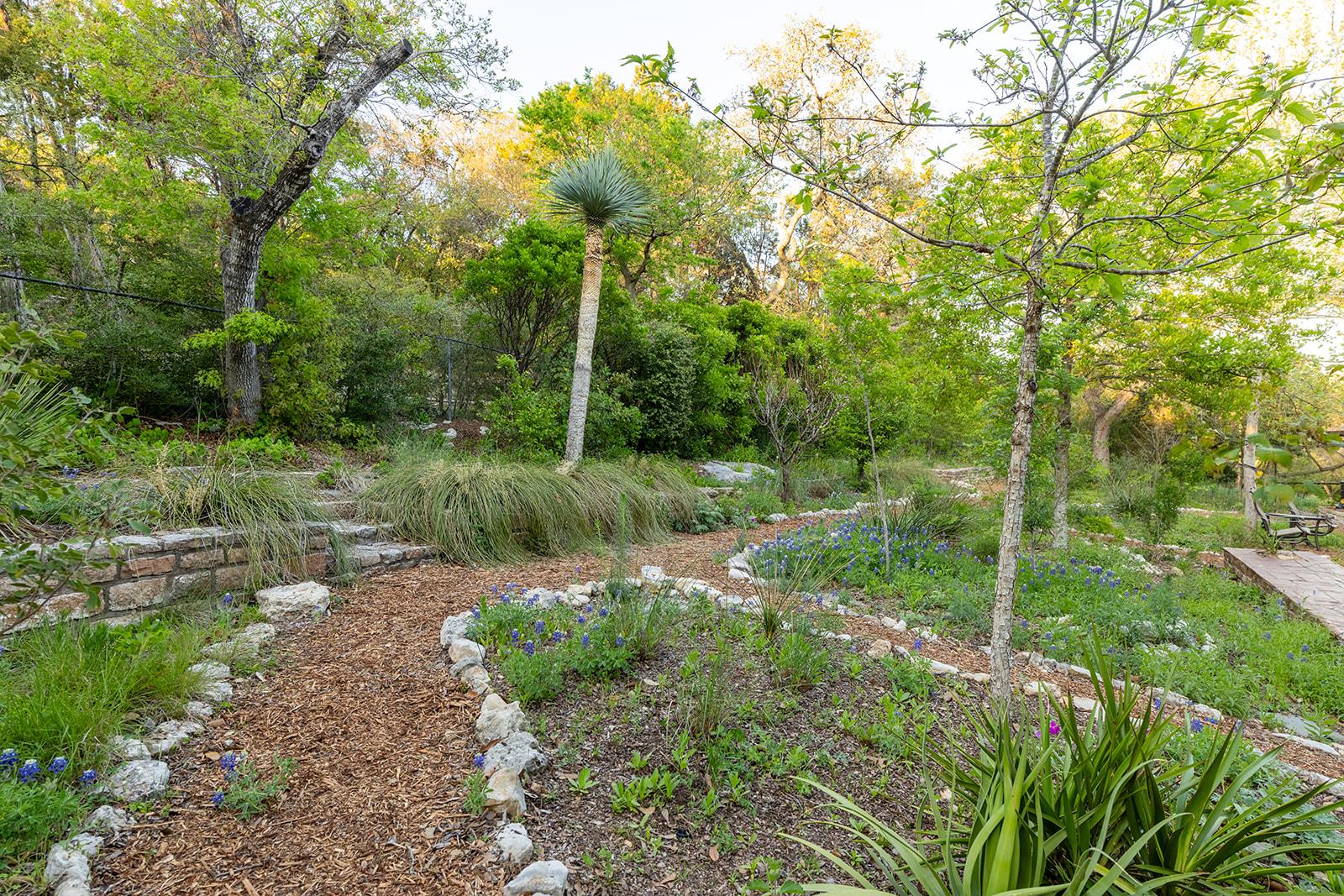 915 Wild Basin Ledge