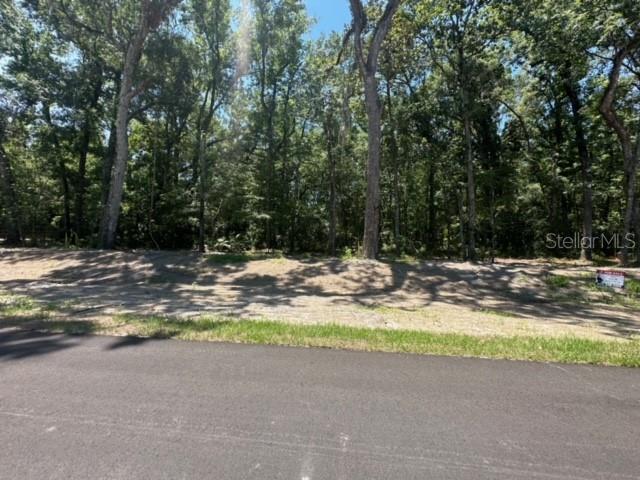 REPUBLICAN (LOT 12) WAY