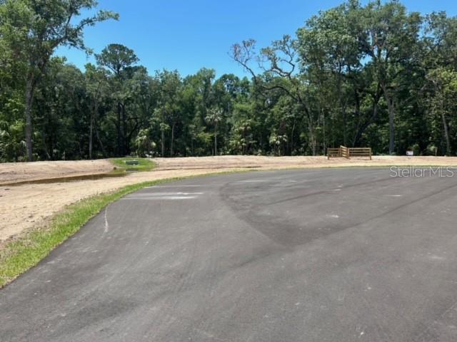 REPUBLICAN (LOT 12) WAY