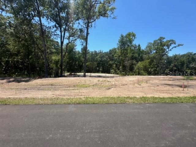 REPUBLICAN (LOT 12) WAY