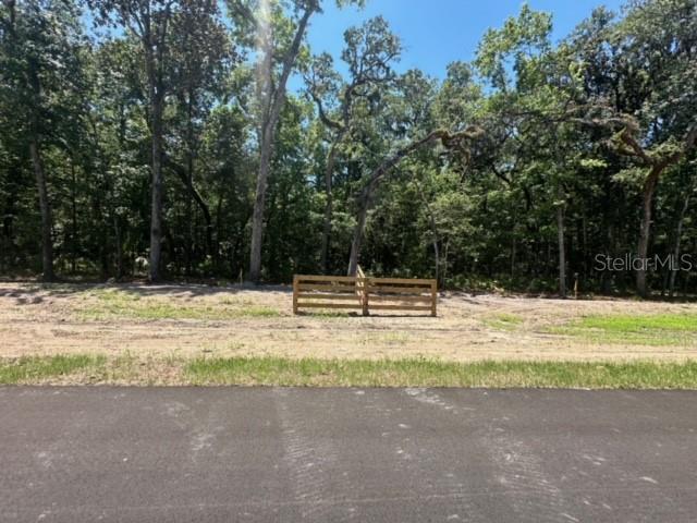 REPUBLICAN (LOT 12) WAY