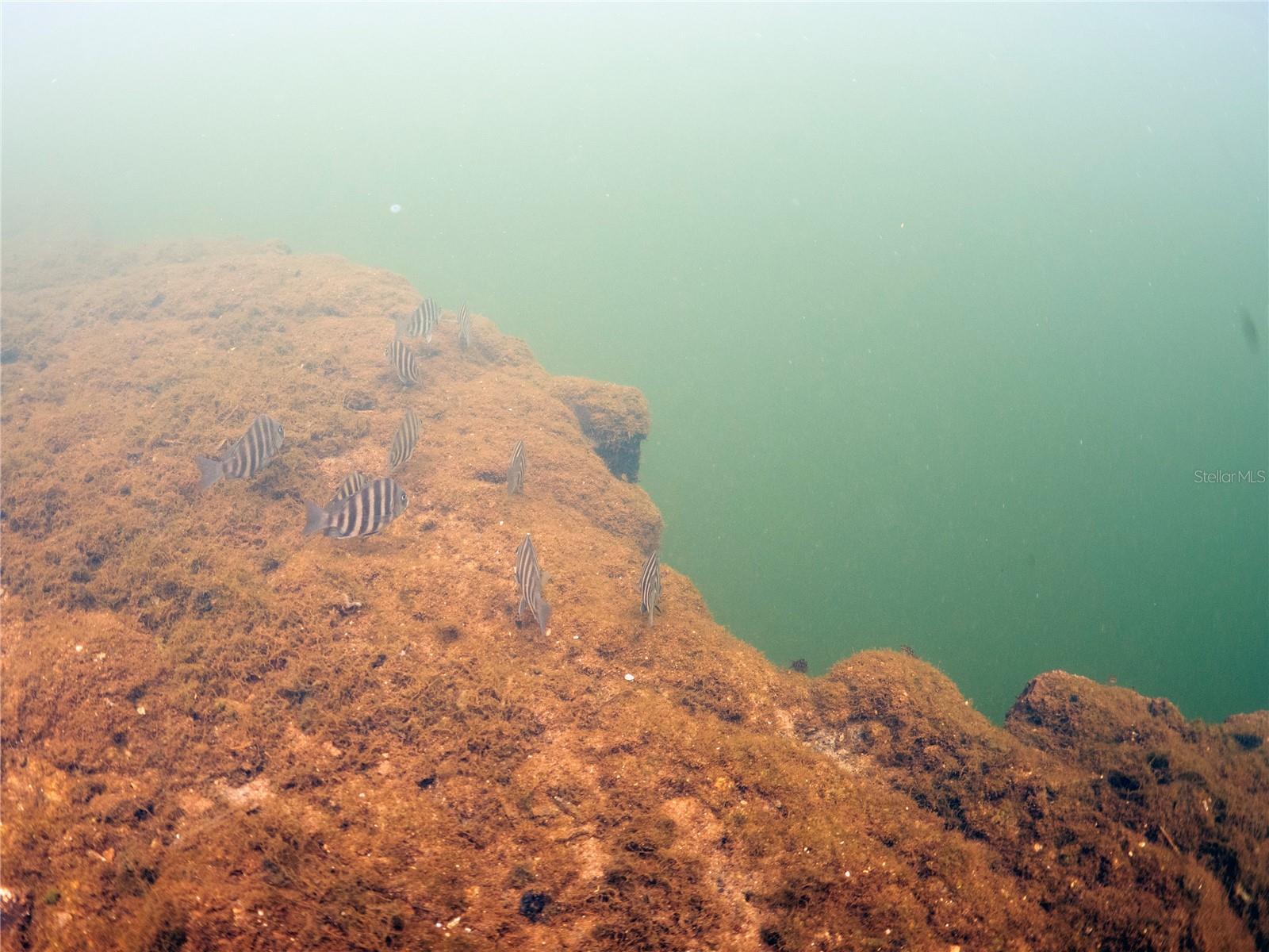0 MARYS FISH CAMP RD