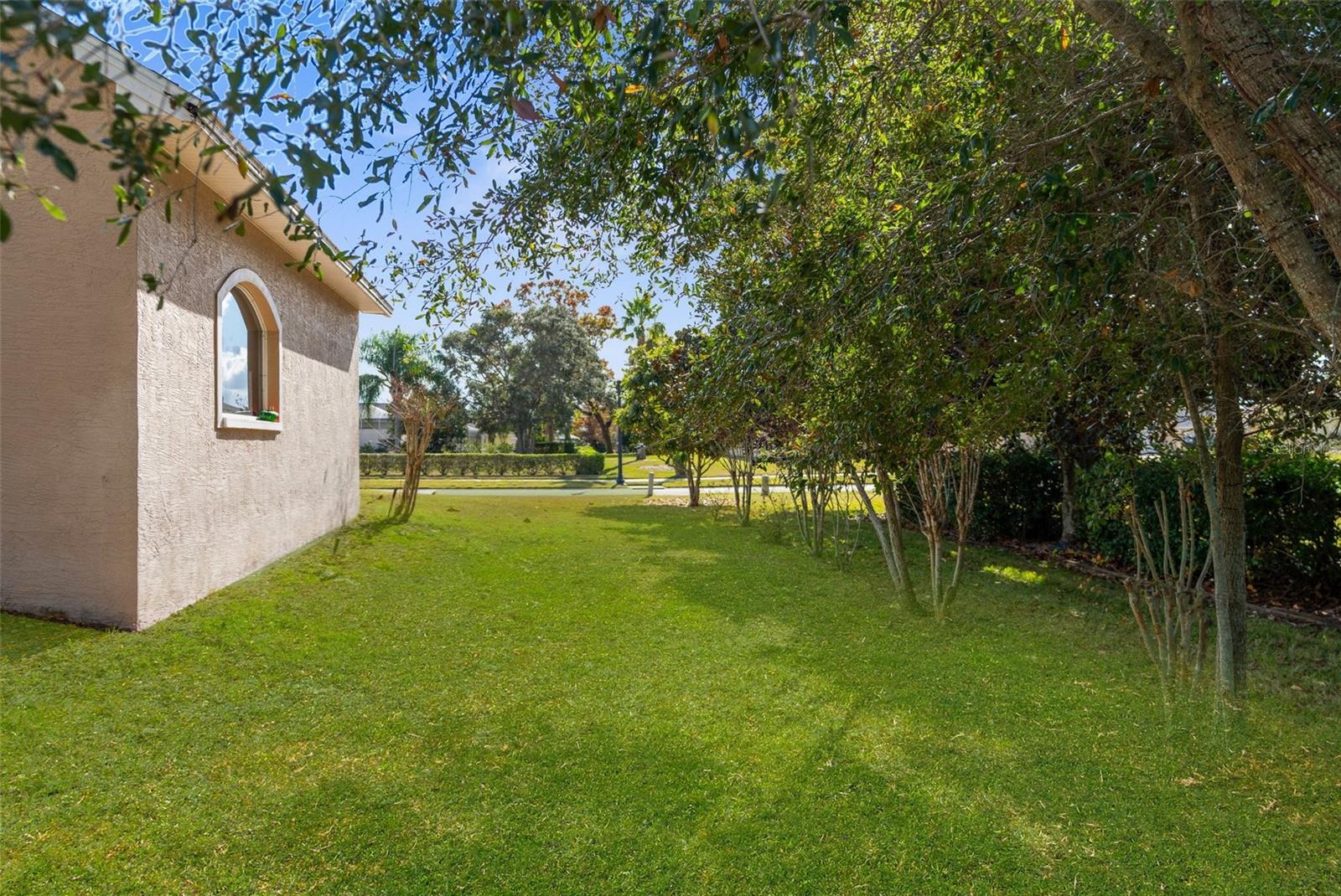 14101 ANDREW SCOTT RD