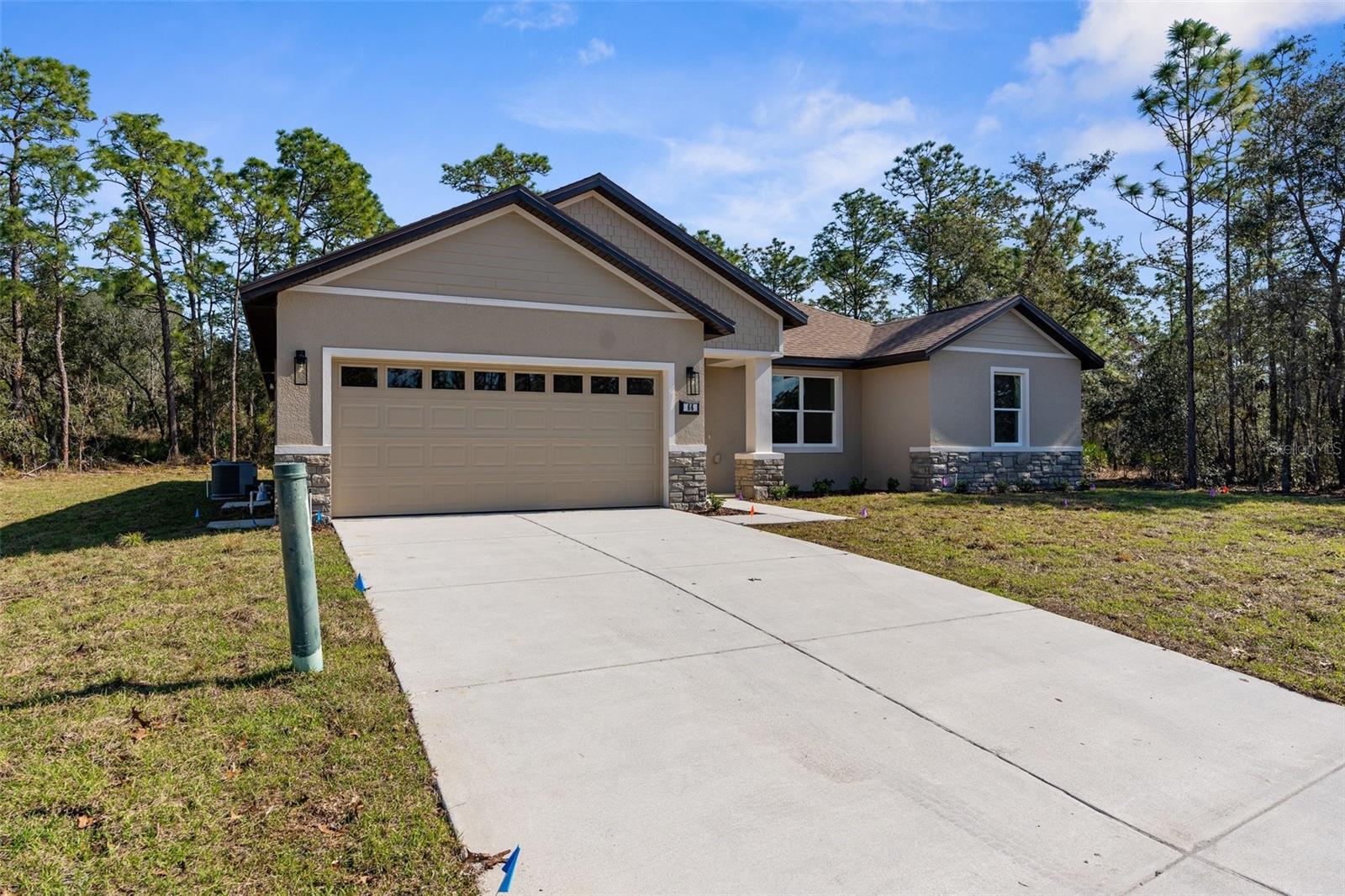 66 TORENIA VERBENAS CT