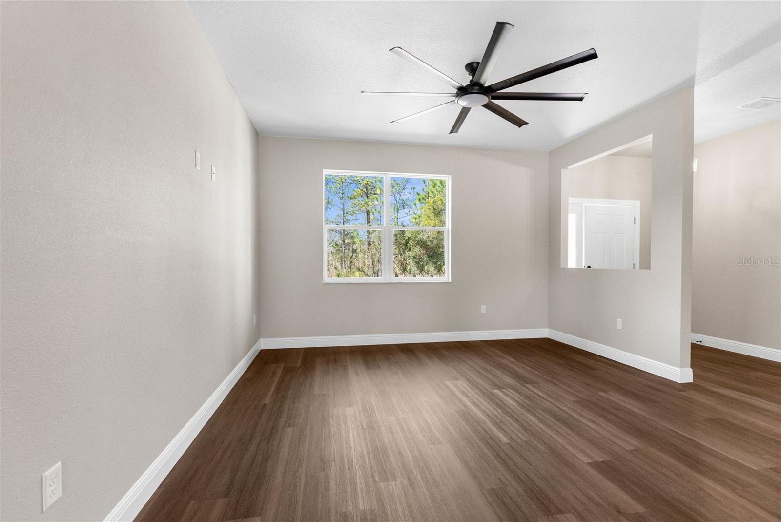 66 TORENIA VERBENAS CT