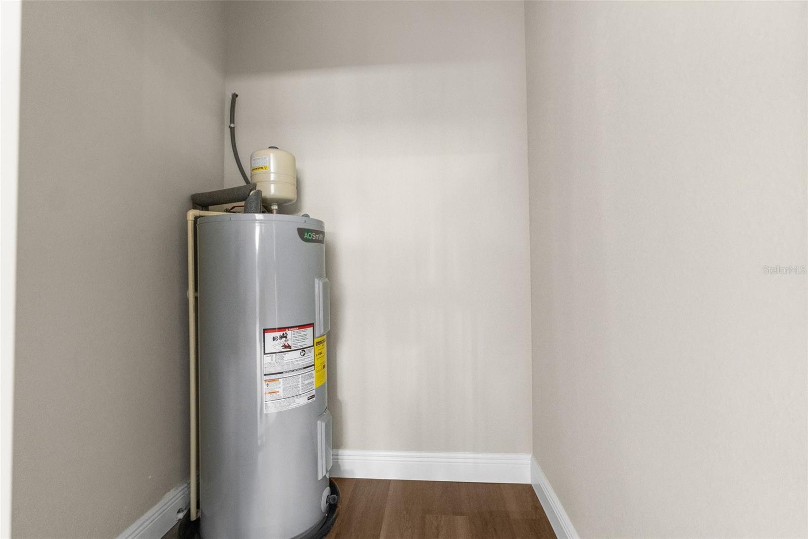 66 TORENIA VERBENAS CT