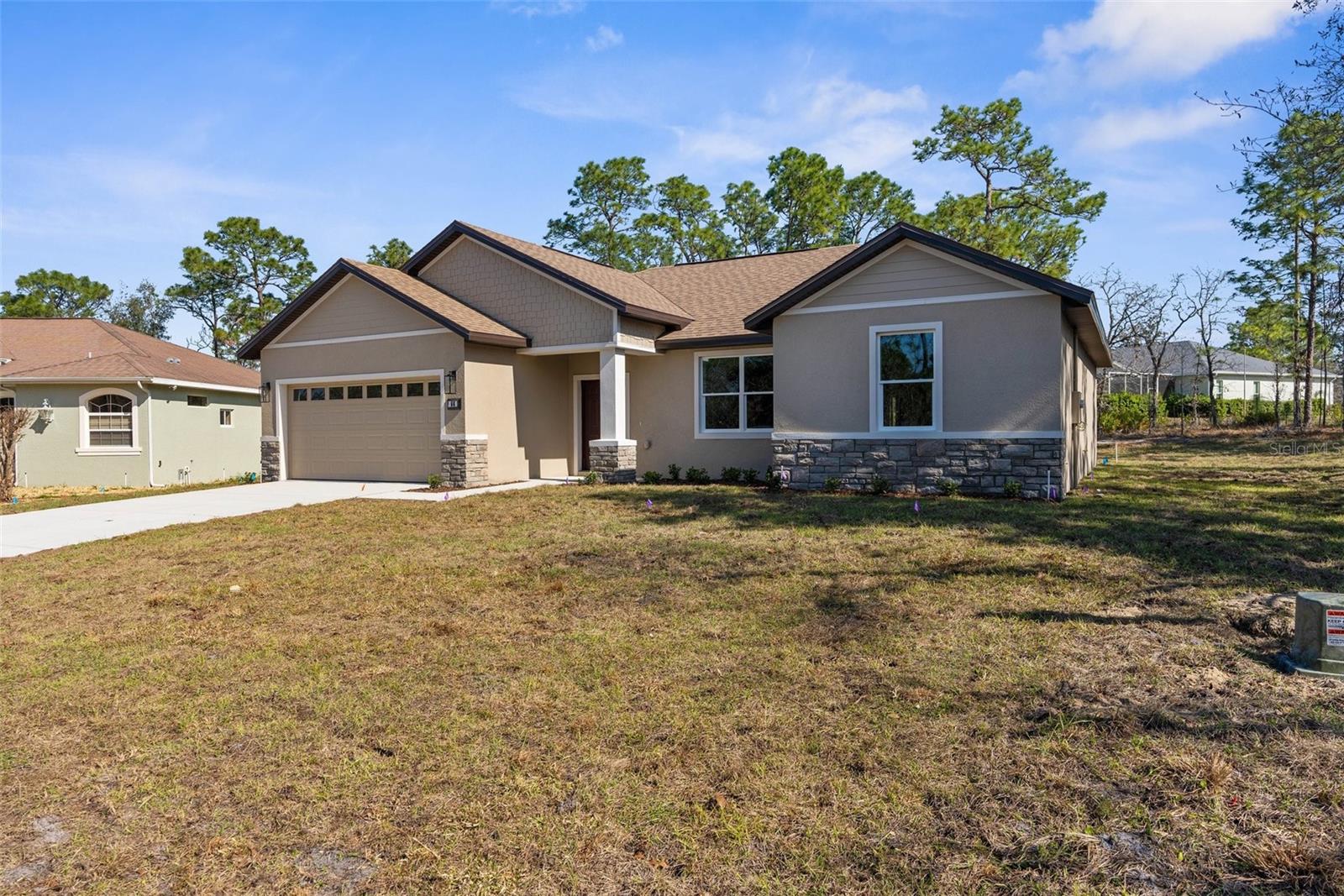 66 TORENIA VERBENAS CT