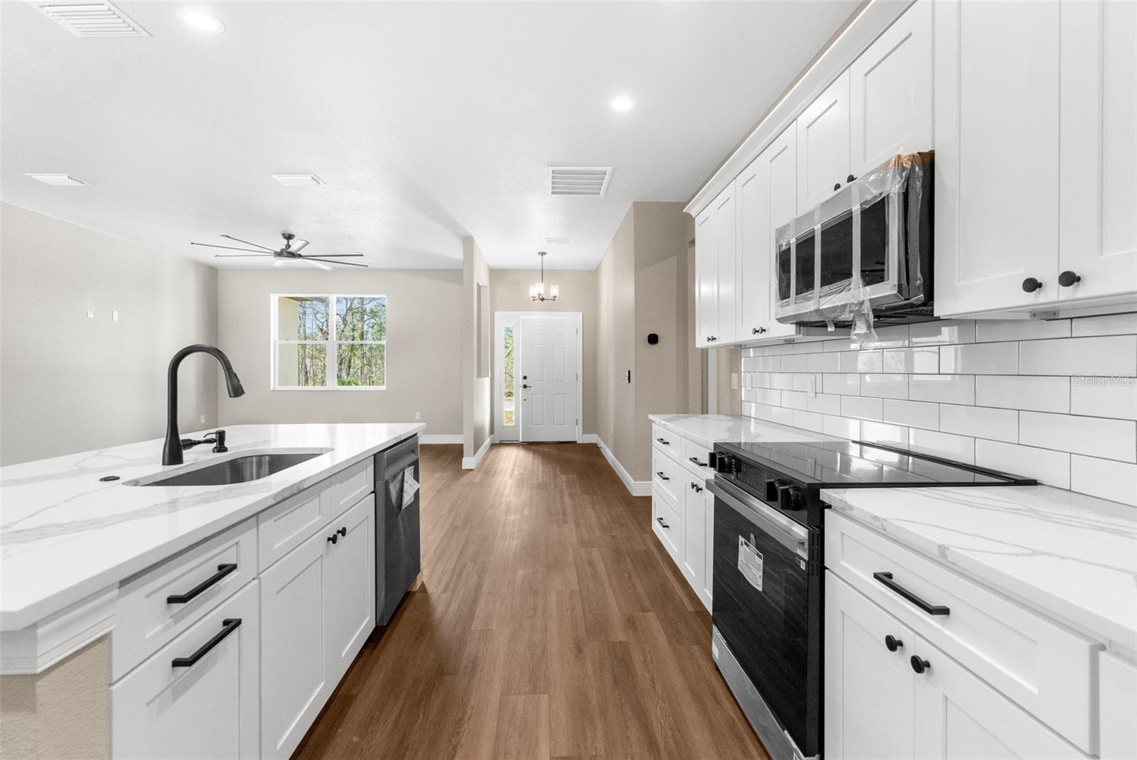 66 TORENIA VERBENAS CT