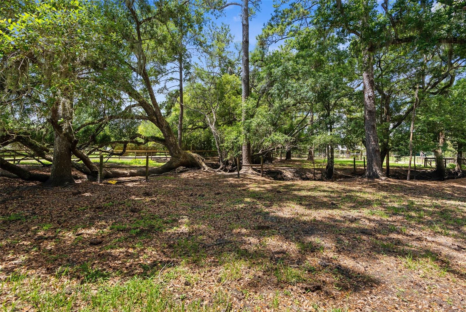 1253 CULBREATH RD