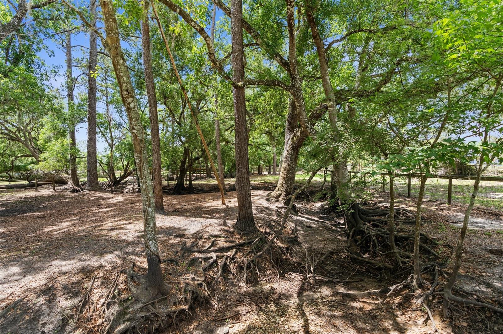 1253 CULBREATH RD