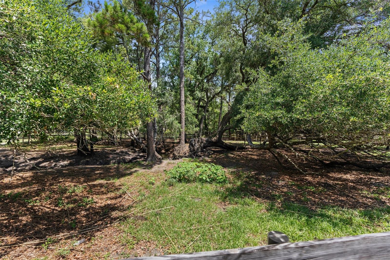 1253 CULBREATH RD