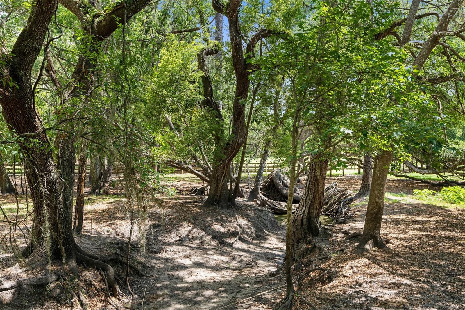 1253 CULBREATH RD