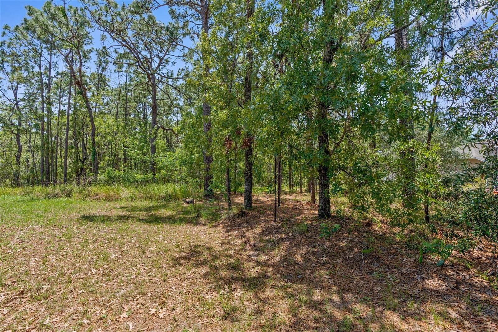 4960 HIDDEN KNOB TRL