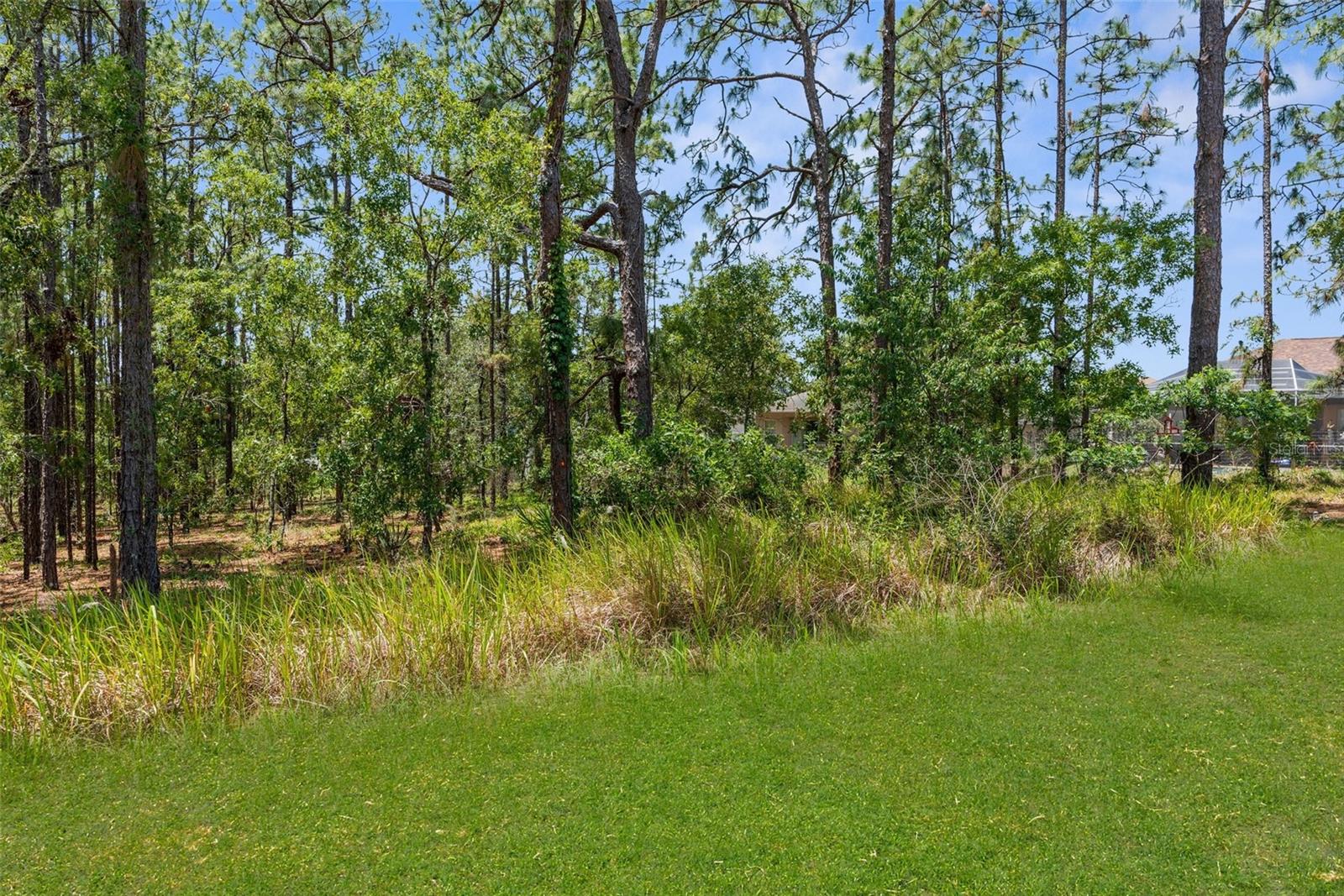 4960 HIDDEN KNOB TRL