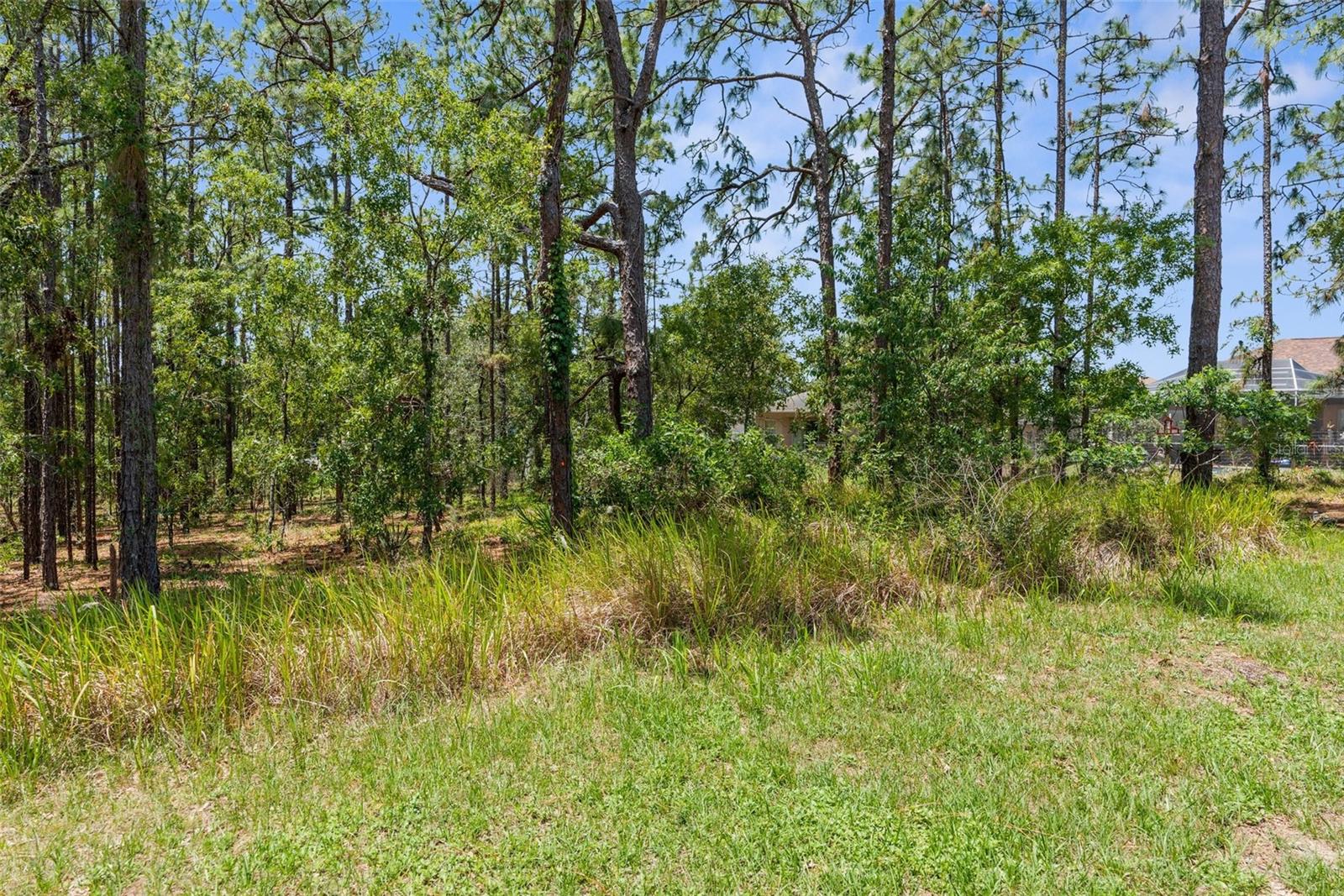 4960 HIDDEN KNOB TRL