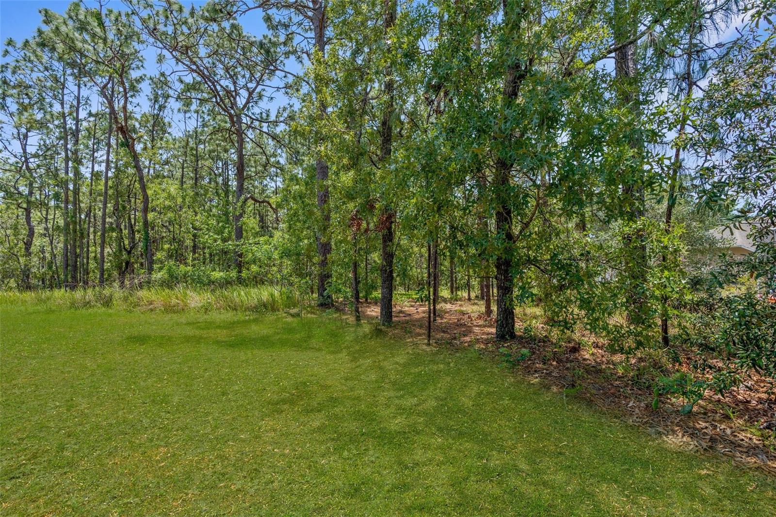 4960 HIDDEN KNOB TRL