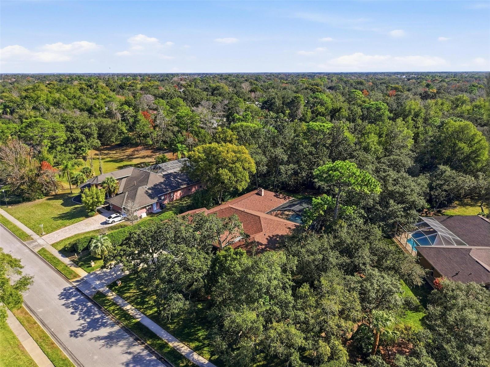 7336 ROYAL OAK DR