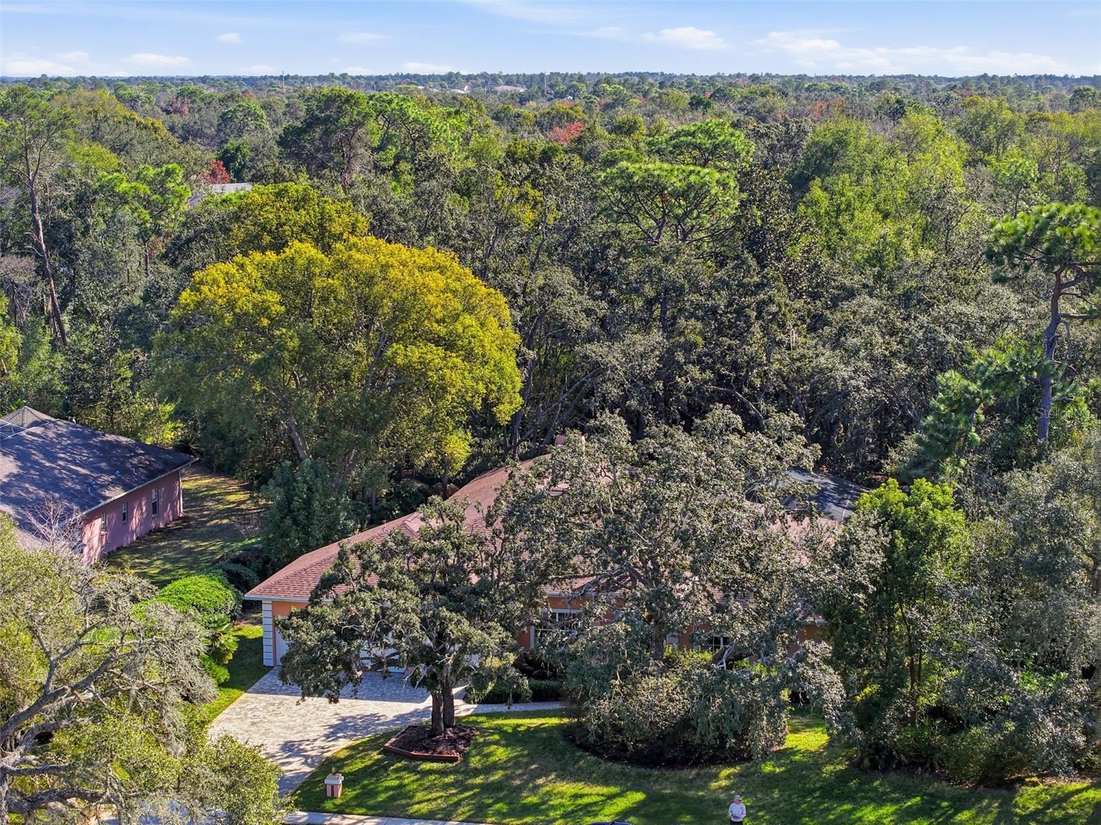 7336 ROYAL OAK DR
