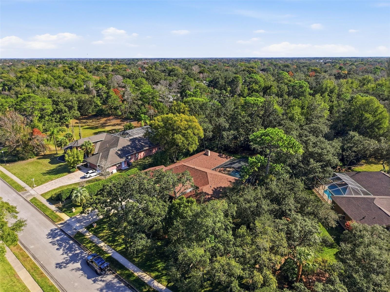 7336 ROYAL OAK DR