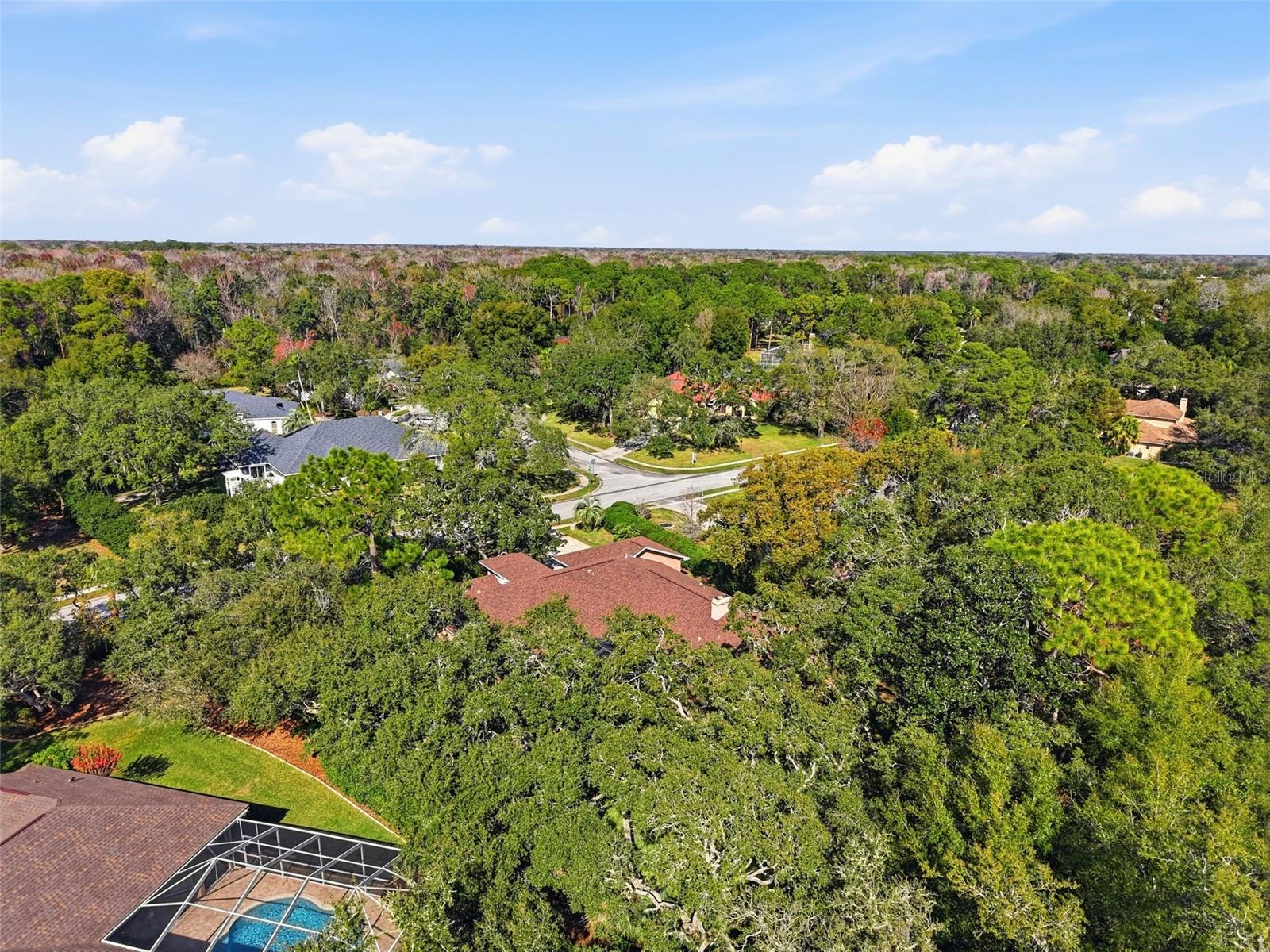 7336 ROYAL OAK DR