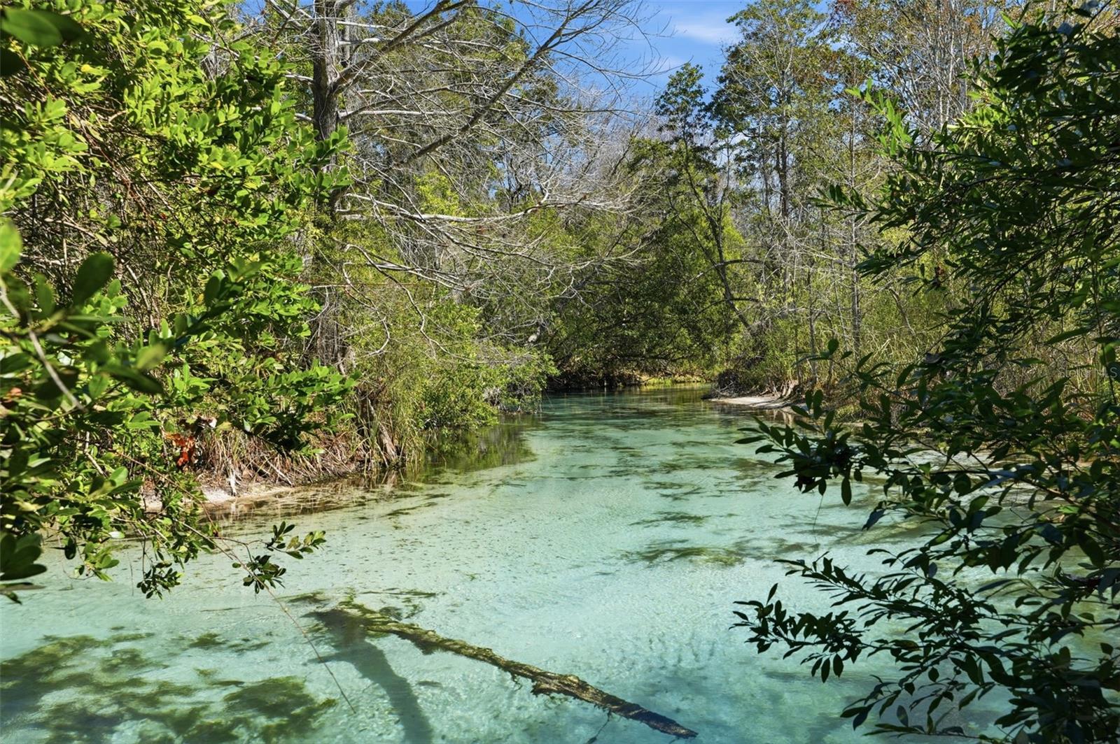 7275 CRYSTAL SPRING RUN