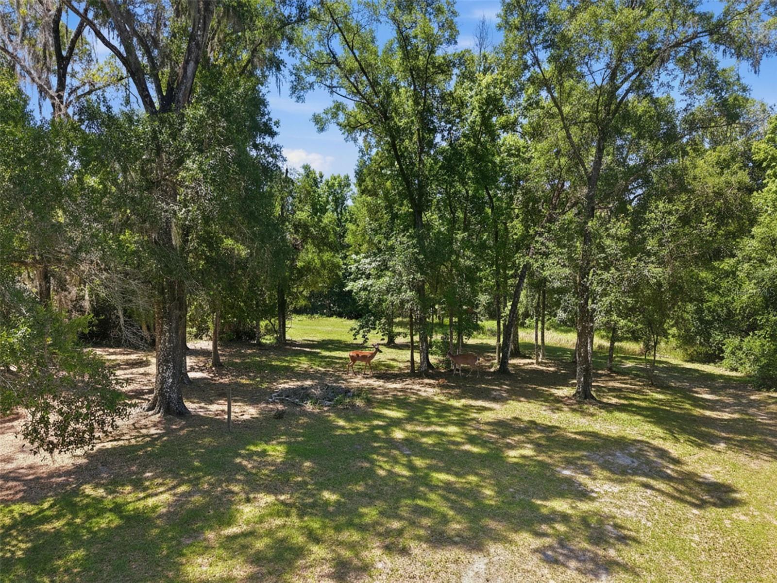 16145 SNOW MEMORIAL HWY