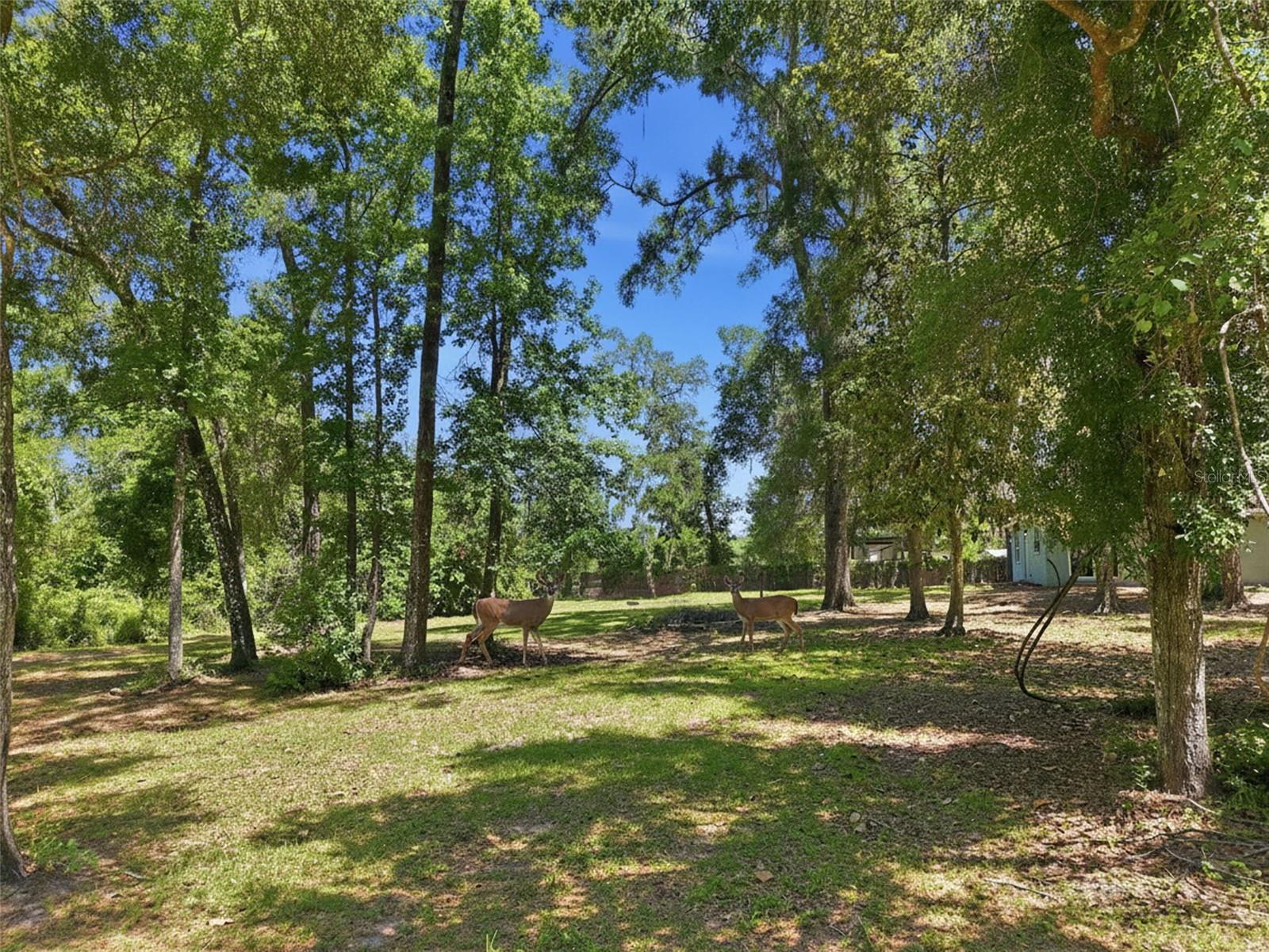 16145 SNOW MEMORIAL HWY