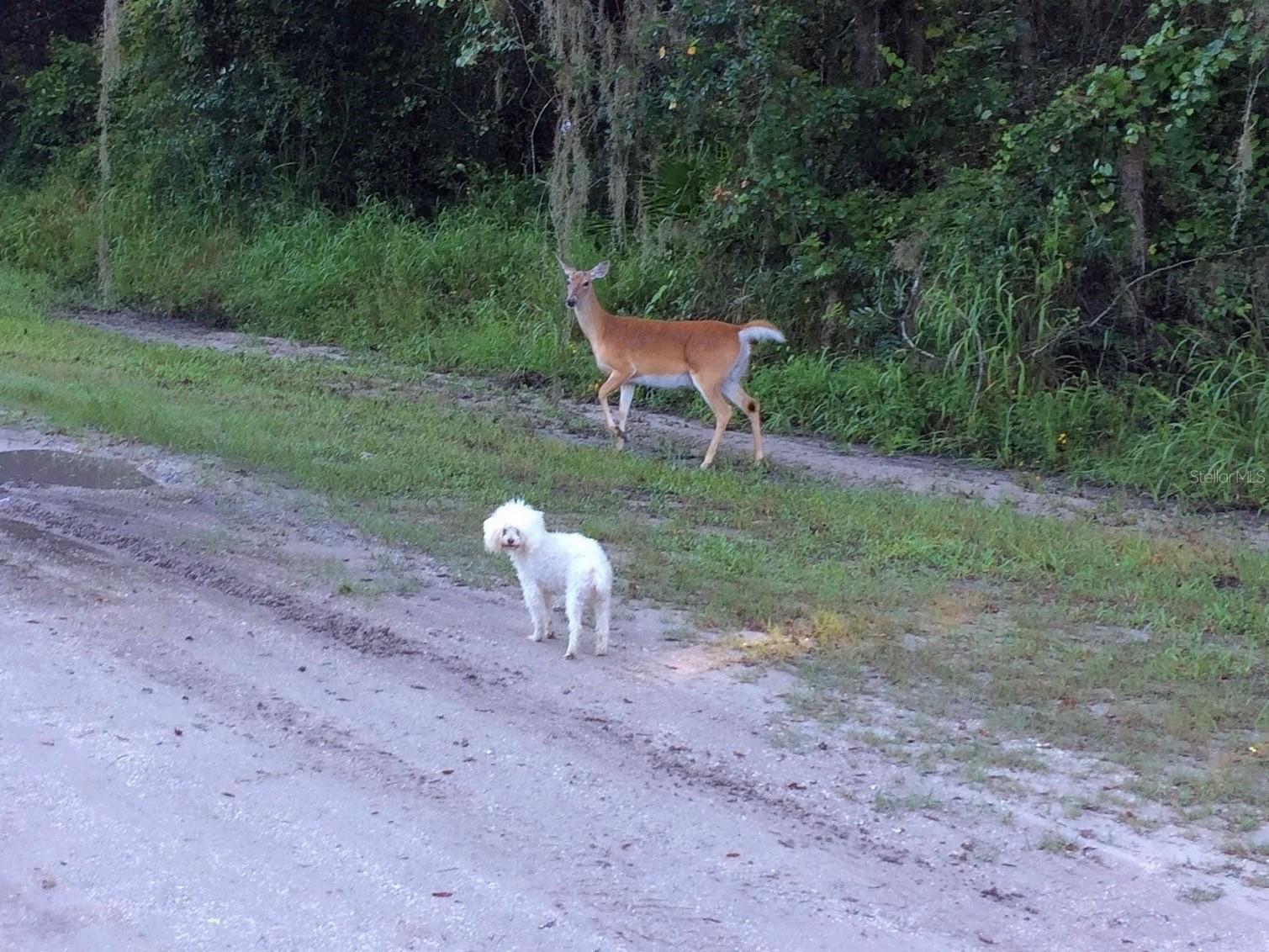 16145 SNOW MEMORIAL HWY