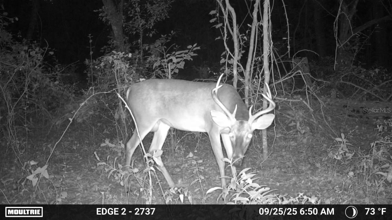 16145 SNOW MEMORIAL HWY