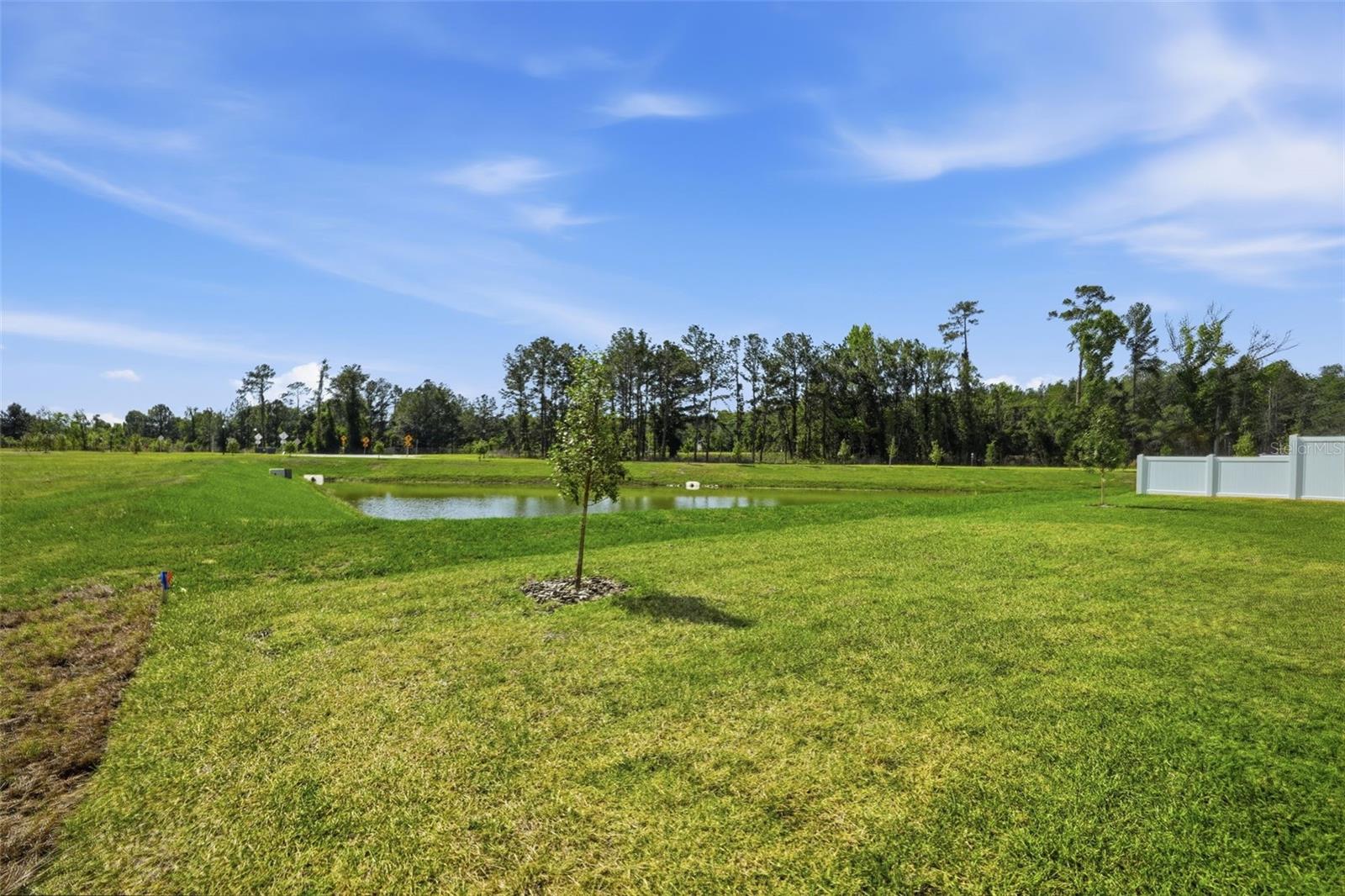 7491 MIA VINE DR