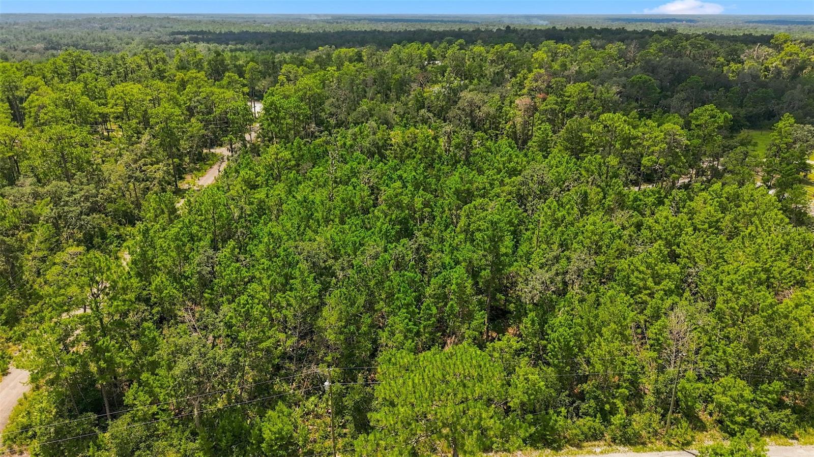 0 LANIER (LOT 1) AVE